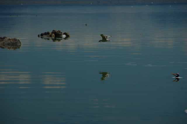 Mono Lake